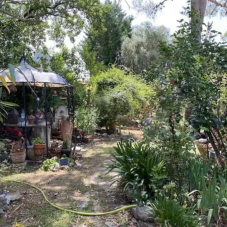 Chaleureux Avec Piscine Privee בית נופש Sainte Anastasie (Gard)